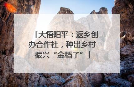 大悟阳平：返乡创办合作社，种出乡村振兴“金稻子”