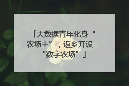大数据青年化身“农场主”，返乡开设“数字农场”