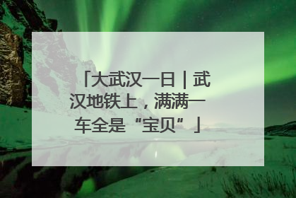 大武汉一日｜武汉地铁上，满满一车全是“宝贝”