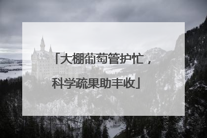 大棚葡萄管护忙，科学疏果助丰收