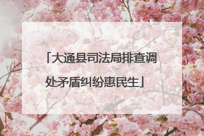 大通县司法局排查调处矛盾纠纷惠民生