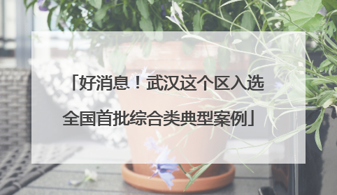 好消息！武汉这个区入选全国首批综合类典型案例