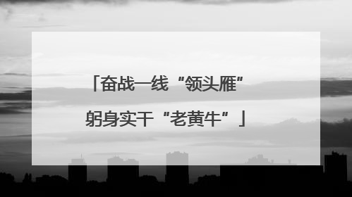 奋战一线“领头雁” 躬身实干“老黄牛”