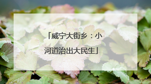 威宁大街乡：小河道治出大民生