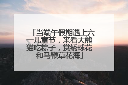 当端午假期遇上六一儿童节，来看大熊猫吃粽子，赏绣球花和马鞭草花海