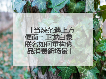 当辣条遇上方便面：卫龙白象联名如何重构食品消费新场景