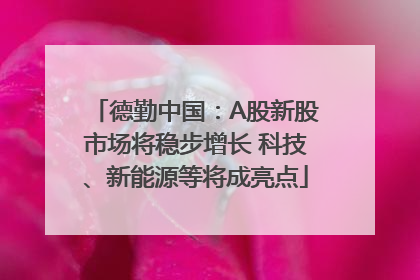 德勤中国：A股新股市场将稳步增长 科技、新能源等将成亮点