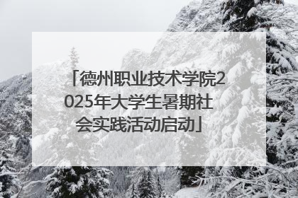 德州职业技术学院2025年大学生暑期社会实践活动启动