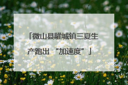 微山县驩城镇三夏生产跑出 “加速度”