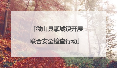 微山县驩城镇开展联合安全检查行动