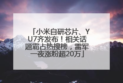 小米自研芯片、YU7齐发布！相关话题霸占热搜榜，雷军一夜涨粉超20万
