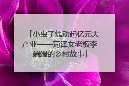 小虫子蠕动起亿元大产业——菏泽女老板李端端的乡村故事