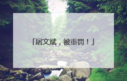 屠文斌，被重罚！