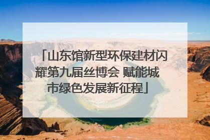 山东馆新型环保建材闪耀第九届丝博会 赋能城市绿色发展新征程