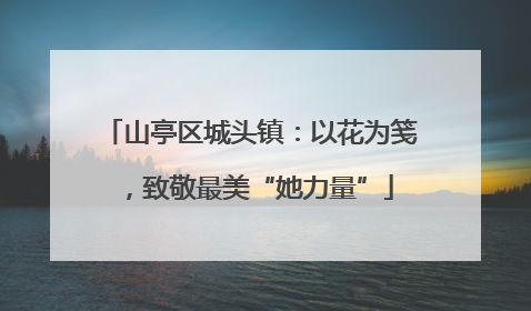山亭区城头镇：以花为笺，致敬最美“她力量”