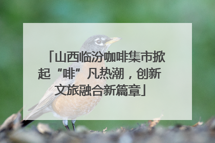 山西临汾咖啡集市掀起“啡”凡热潮，创新文旅融合新篇章