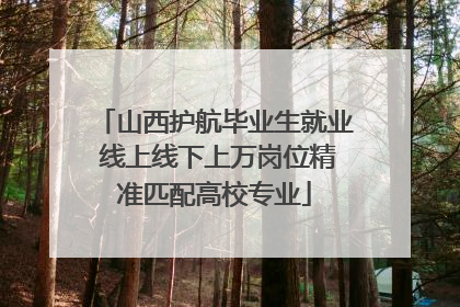 山西护航毕业生就业 线上线下上万岗位精准匹配高校专业