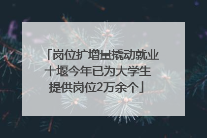 岗位扩增量撬动就业 十堰今年已为大学生提供岗位2万余个