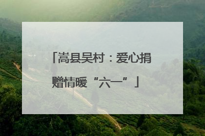 嵩县吴村：爱心捐赠情暖“六一”