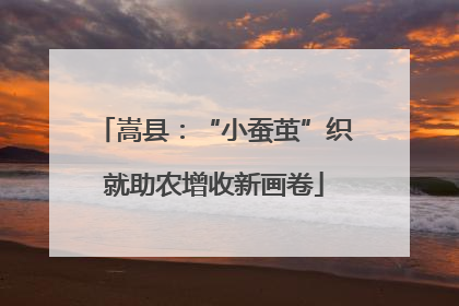 嵩县：“小蚕茧”织就助农增收新画卷