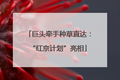 巨头牵手种草直达：“红京计划”亮相