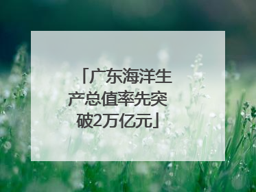 广东海洋生产总值率先突破2万亿元