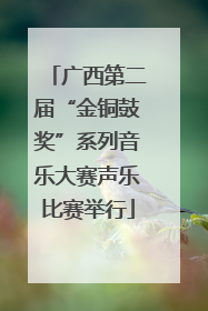广西第二届“金铜鼓奖”系列音乐大赛声乐比赛举行
