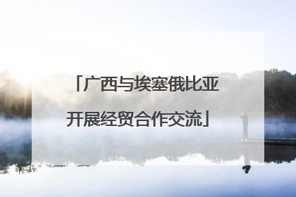 广西与埃塞俄比亚开展经贸合作交流