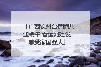 广西钦州台侨胞共迎端午 看运河建设感受家国强大