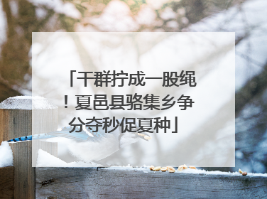 干群拧成一股绳！夏邑县骆集乡争分夺秒促夏种