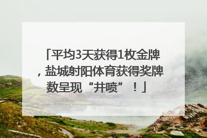 平均3天获得1枚金牌，盐城射阳体育获得奖牌数呈现“井喷”！