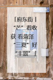府东街丨“芒”着收获 看菏泽“三夏”好“丰景”