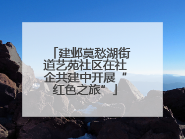 建邺莫愁湖街道艺苑社区在社企共建中开展“红色之旅”