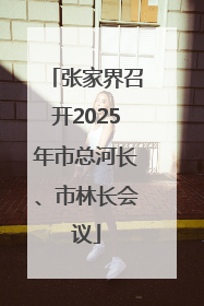 张家界召开2025年市总河长、市林长会议