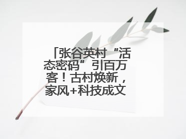 张谷英村“活态密码”引百万客！古村焕新，家风+科技成文旅融合新爆点