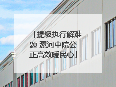 提级执行解难题 漯河中院公正高效暖民心