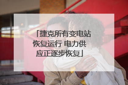 捷克所有变电站恢复运行 电力供应正逐步恢复
