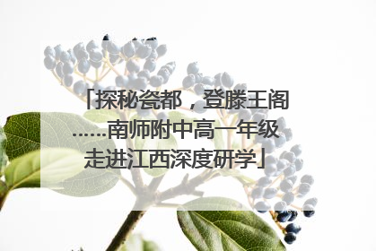 探秘瓷都，登滕王阁……南师附中高一年级走进江西深度研学