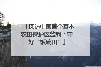 探访中国首个基本农田保护区监利：守好“饭碗田”
