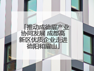 推动成德眉产业协同发展 成都高新区优质企业走进德阳和眉山