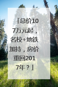 总价107万元起，名校+地铁加持，房价重回2017年？