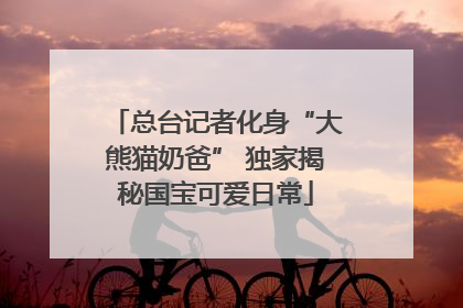 总台记者化身“大熊猫奶爸” 独家揭秘国宝可爱日常