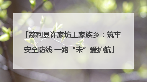 慈利县许家坊土家族乡：筑牢安全防线 一路“未”爱护航
