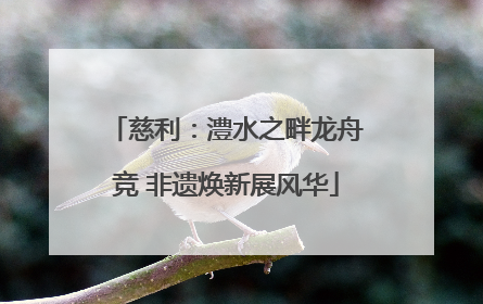 慈利：澧水之畔龙舟竞 非遗焕新展风华