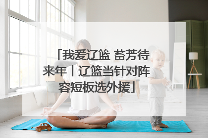 我爱辽篮 蓄芳待来年丨辽篮当针对阵容短板选外援
