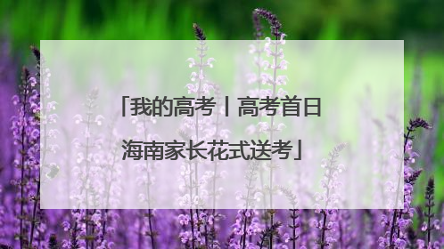 我的高考丨高考首日 海南家长花式送考