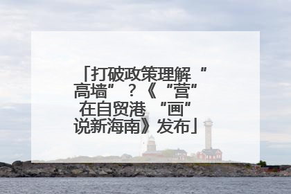 打破政策理解“高墙”？《“营”在自贸港 “画”说新海南》发布