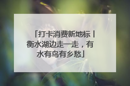 打卡消费新地标丨衡水湖边走一走，有水有鸟有乡愁