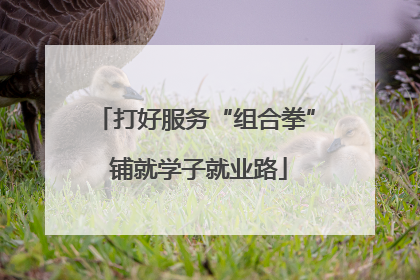 打好服务“组合拳” 铺就学子就业路