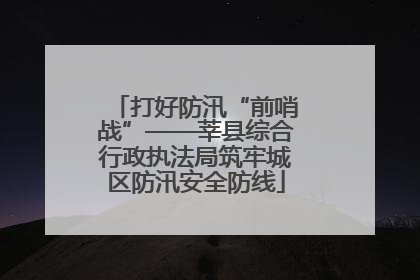 打好防汛“前哨战”——莘县综合行政执法局筑牢城区防汛安全防线